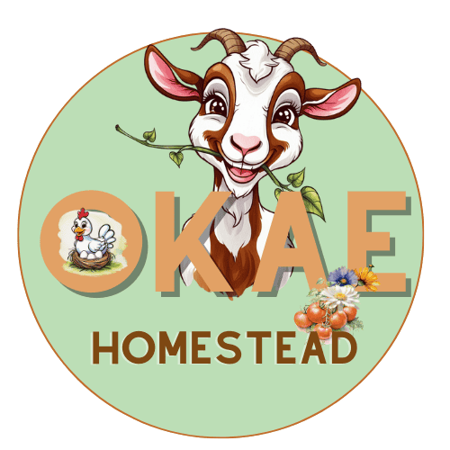 Letters O, K, A, E in front of a cartoon goat with a plant in its mouth, a chicken on eggs in a nest is inside the O and the word Homestead along the bottom of logo