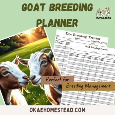 Goat Breeding planner mock up. Picture of goat couple in front of a tree line and sunset, perfect for breeding management. Images of graphs used for tracking goat breeding