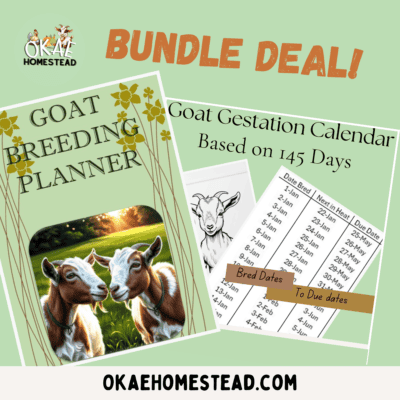 Goat Breeding planner mock up. Picture of goat couple in front of a tree line and sunset, perfect for breeding management. Images of graphs used for tracking goat breeding