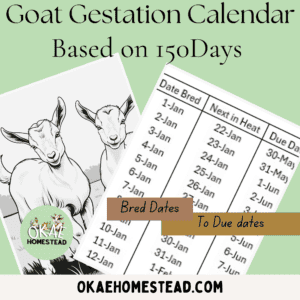 Goat gestation calendar 150 days mockup image with goat kid outline and Okae Homestead Logo