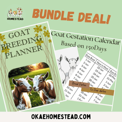 Goat Breeding planner mock up. Picture of goat couple in front of a tree line and sunset, perfect for breeding management. Images of graphs used for tracking goat breeding