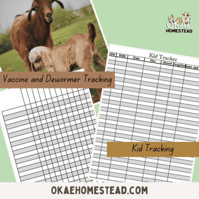goat breeding planner mock up 2, image of momma goat and baby in a field. words vaccine and dewormer tracking and kid tracking. images of graphs for tracking information about goat kids and vaccines for goats