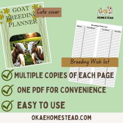 goat breeding planner mock up 3. image of planner cover and words cute cover. image of a list for breeding wish list of does and bucks to be paired. words multiple copies of each page, one pdf for convenience, easy to use
