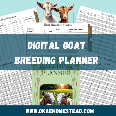 Digital Goat Breeding planner mock up. Picture of goat couple in front of a tree line and sunset, perfect for breeding management. Images of graphs used for tracking goat breeding