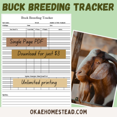 buck breeding tracker mock up 1 image of a boer buck, image of a buck breeding tracker, words single page PDF, download for just $3, unlimited printing