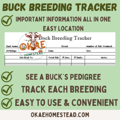 buck breeding tracker mock up 2 close up of tracker, OKae homestead logo, words important information all in one easy location, see a buck's pedigree, track each breeding, easy to use and convenient
