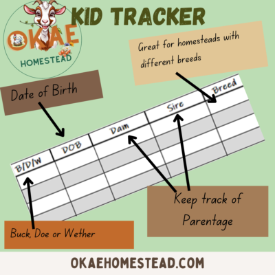 kid tracker mock up 2 close up of tracker, OKae homestead logo, words date of birth, great for homesteads with different breeds, buck, doe or wether, keep track of parentage