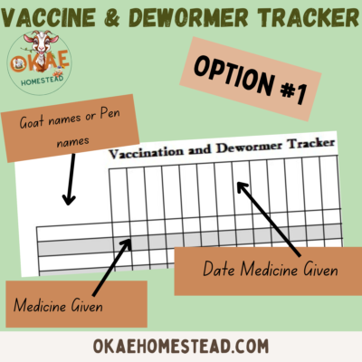 vaccine and dewormer tracker mock up 2 shows option #1 with image of close up of tracker, words goat or pen name, date medicine given, medicine given, with arrows pointing to various areas of the tracker