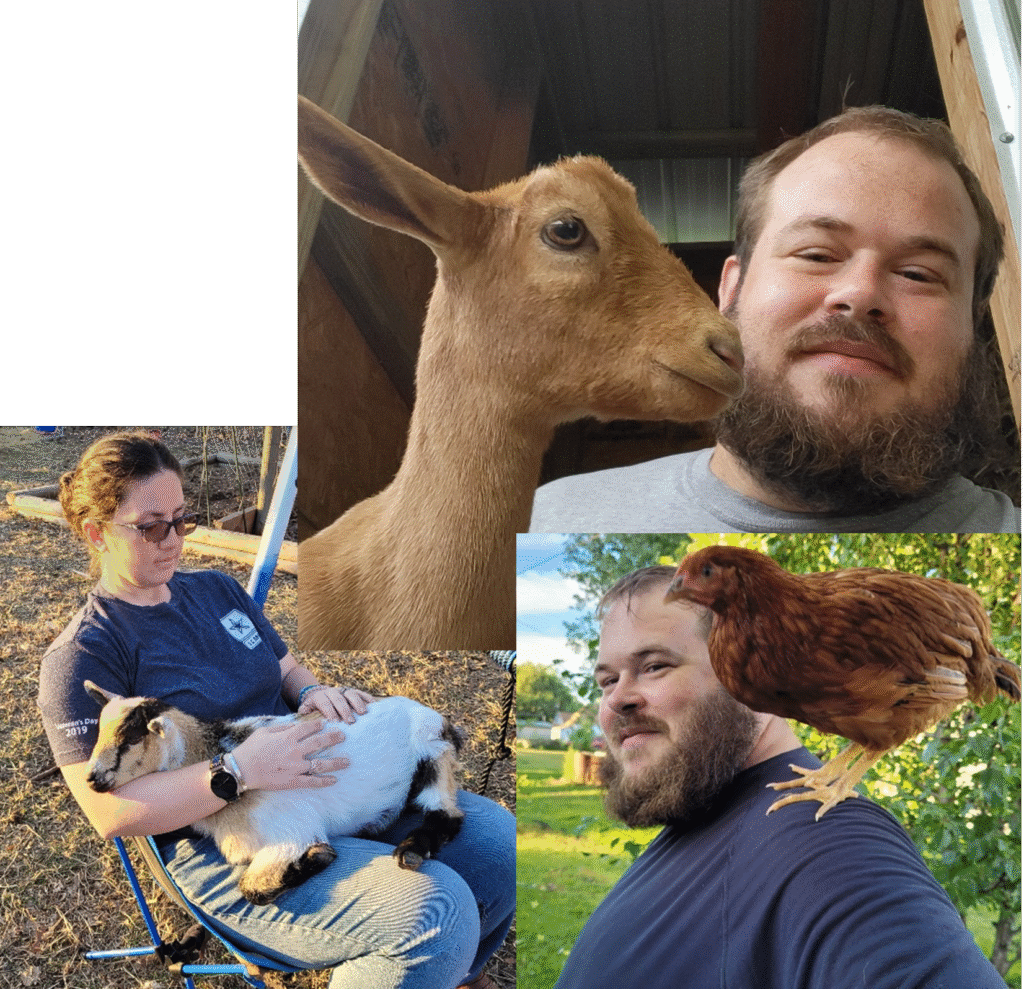 collage of pictures of a bearded man holding a goat, same bearded man with a chicken on his shoulder and a woman sitting in a chair with a goat in her lap